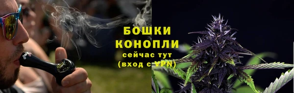 ГАЛЛЮЦИНОГЕННЫЕ ГРИБЫ Михайловка