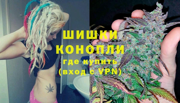ГАЛЛЮЦИНОГЕННЫЕ ГРИБЫ Михайловка