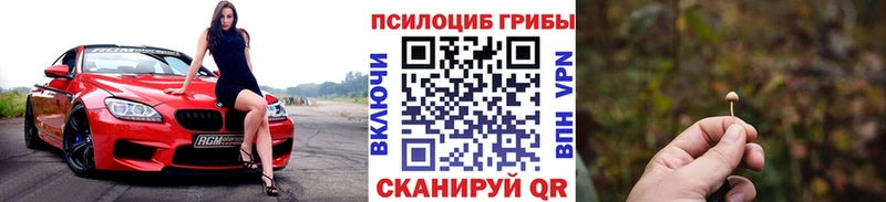 Галлюциногенные грибы Cubensis  OMG как зайти  Кувшиново 