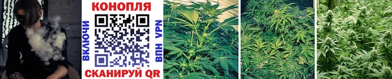 Шишки марихуана Bruce Banner Кувшиново